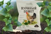 Подкормка огурцов куриным пометом