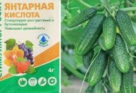 Янтарная кислота для огурцов